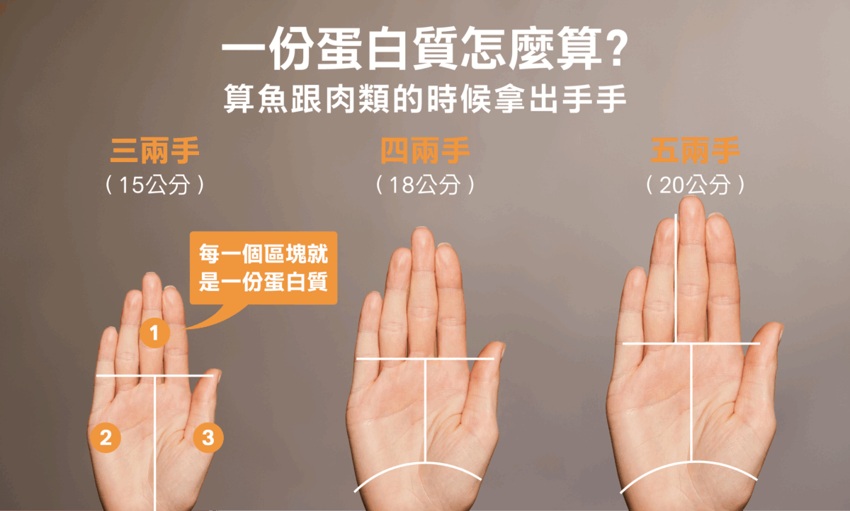手手蛋白質