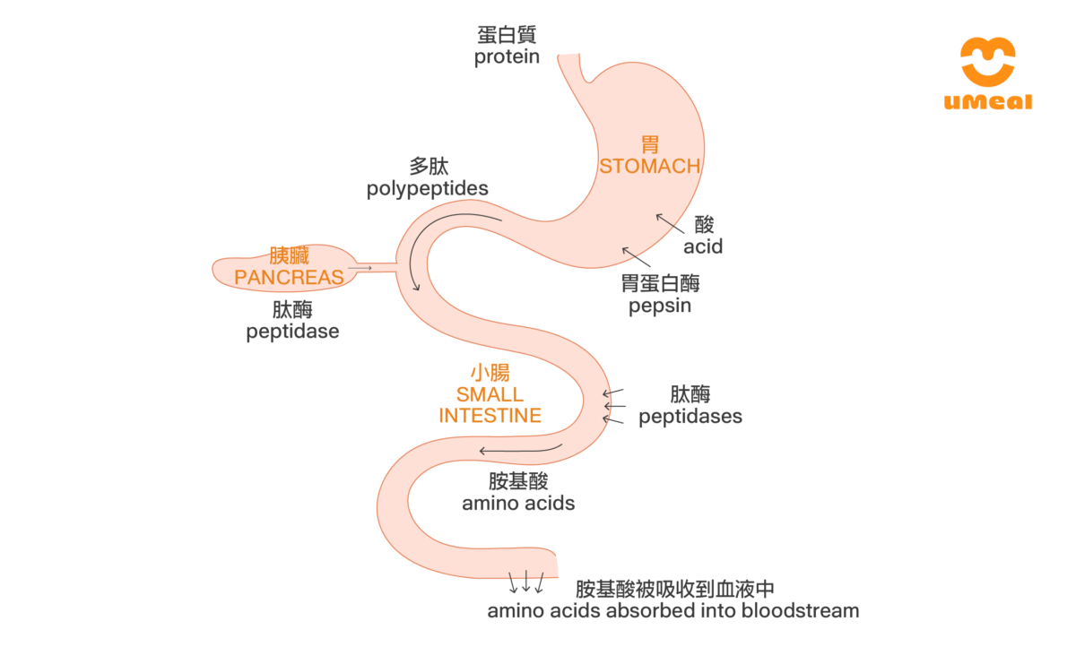 文章配圖